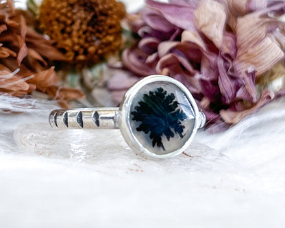 Dendritic Agate Ring No. 4 {sz.7}