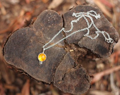 Amber Necklace