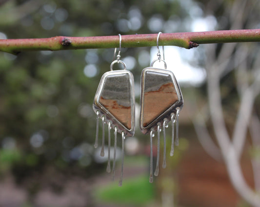 Polychrome Fringe Earrings